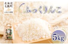 【先行予約】 令和7年産 ふっくりんこ5kg 【ふるさと納税 人気 おすすめ ランキング ふっくりんこ 米 こめ 白米 精米 ごはん ご飯 北海道産 北海道 七飯町 送料無料】 NAZ017