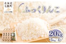 【先行予約】 令和7年産 ふっくりんこ20kg (5kg×4) 【ふるさと納税 人気 おすすめ ランキング ふっくりんこ 米 こめ 白米 精米 ごはん ご飯 北海道産 北海道 七飯町 送料無料】 NAZ019