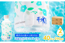 ミネラルウォーター夢水氣（290ml×40本）2セット 天然アルカリイオン水 軟水 【ふるさと納税 人気 おすすめ ランキング 天然アルカリイオン水 天然水 ミネラルウォーター 横津岳山麓 北海道 七飯町 送料無料】 NAL004