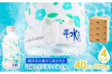 ミネラルウォーター夢水氣（290ml×40本）4セット 天然アルカリイオン水 軟水 【ふるさと納税 人気 おすすめ ランキング 天然アルカリイオン水 天然水 ミネラルウォーター 横津岳山麓 北海道 七飯町 送料無料】 NAL006