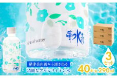 ミネラルウォーター夢水氣（290ml×40本）3セット 天然アルカリイオン水 軟水 【ふるさと納税 人気 おすすめ ランキング 天然アルカリイオン水 天然水 ミネラルウォーター 横津岳山麓 北海道 七飯町 送料無料】 NAL005