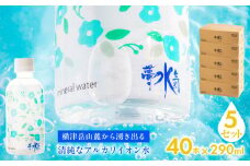 ミネラルウォーター夢水氣（290ml×40本）5セット 天然アルカリイオン水 軟水 【ふるさと納税 人気 おすすめ ランキング 天然アルカリイオン水 天然水 ミネラルウォーター 横津岳山麓 北海道 七飯町 送料無料】 NAL007