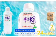 ミネラルウォーター夢水氣（500ml×24本）2セット 天然アルカリイオン水 軟水 【ふるさと納税 人気 おすすめ ランキング 天然アルカリイオン水 天然水 ミネラルウォーター 横津岳山麓 北海道 七飯町 送料無料】 NAL008