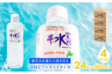 ミネラルウォーター夢水氣（500ml×24本）4セット 天然アルカリイオン水 軟水 【ふるさと納税 人気 おすすめ ランキング 天然アルカリイオン水 天然水 ミネラルウォーター 横津岳山麓 北海道 七飯町 送料無料】 NAL010