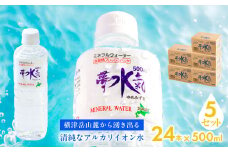 ミネラルウォーター夢水氣（500ml×24本）5セット 天然アルカリイオン水 軟水 【ふるさと納税 人気 おすすめ ランキング 天然アルカリイオン水 天然水 ミネラルウォーター 横津岳山麓 北海道 七飯町 送料無料】 NAL011