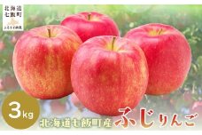 【2025年12月下旬以降発送】ふじ3kg 【ふるさと納税 人気 おすすめ ランキング りんご リンゴ 林檎 ふじ 3kg 七飯町産 北海道 七飯町 送料無料 】 NAJ005