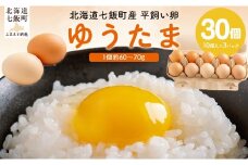 ゆうたま 【 ふるさと納税 人気 おすすめ ランキング 卵 たまご タマゴ 卵かけごはん 卵焼き オムライス 鶏 おいしい 北海道 七飯町 送料無料 】 NABA001