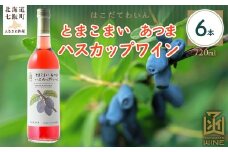 とまこまい あつまハスカップワイン　720ml　6本 【 ふるさと納税 人気 おすすめ ランキング ワイン わいん ハスカップワイン とまこまい あつま セット お酒 アルコール 北海道 七飯町 送料無料 】 NAX045