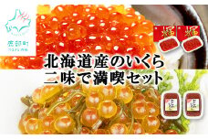 【丸鮮道場水産】北海道産のいくら二味で満喫セット（計480g）