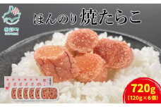 北のハイグレード食品2021認定 北海道産 ほんのり焼たらこ 120g×6個（720g）