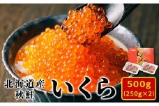【2024年新物】北海道産いくら 500g（250g×2パック）小分けだから食べやすい！ イクラ