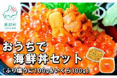【北海道産】うにいくらセット ふり塩うに100g いくら100g うにいくら丼 おうちで海鮮丼セット