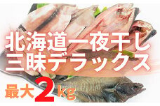 【緊急支援品】北海道産 一夜干し三昧デラックス 最大2kg 訳あり 傷 不揃い ほっけ ホッケ 真イカ いか 宗八がれい カレイ こまい 干物 魚 事業者支援