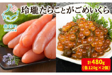 【丸鮮道場水産】玲瓏たらことがごめいくら 各120g×2個（合計480g）