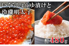 北海道産いくら240g 玲瓏明太子240g 丸鮮道場水産 小分け 食べ切り 食べきり