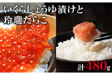 北海道産いくら240g 玲瓏たらこ240g 丸鮮道場水産 小分け 食べ切り 食べきり しょうゆ漬け
