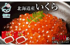 【小分けで便利！】北海道産いくら 計240g（120g×2パック）しょうゆ漬け 丸鮮道場水産 小分け 食べきり いくら丼 手巻き寿司 小分け 送料無料