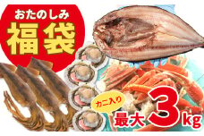 【緊急支援品】北海道の海鮮＜おたのしみ福袋＞ 訳あり ズワイガニ入り 冷凍 5種 最大2.5～3kg 事業者支援