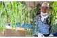 生産者代表の松田です。
毎日のお茶に是非、「タラノキ茶」をお選びいただけたら幸いです。
