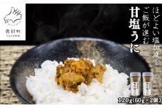 北海道のウニだけで作った甘塩うに 120g (60g×2) キタムラサキウニ