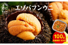 【順次発送】北海道産 うに 100g ふり塩うに うに ウニ エゾバフンウニ バフンウニ 冷凍保存 うに丼 生うにの旨み おつまみ 事業者支援 [F12]