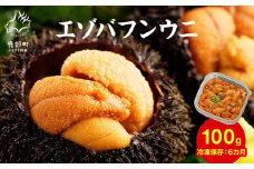 【順次発送】北海道産 うに 100g ふり塩うに うに ウニ エゾバフンウニ バフンウニ 冷凍保存 うに丼 生うにの旨み おつまみ 事業者支援 [F12]