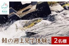 鮭の遡上見学体験 2名様分 道の駅しかべ間歇泉公園 入園券付 旅行 観光 体験 送料無料