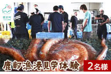 鹿部漁港見学体験 2名様分 道の駅しかべ間歇泉公園 入園券付 旅行 観光 体験 送料無料