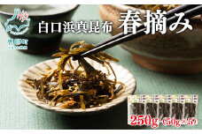 【北海道鹿部町産】白口浜真昆布 春摘み 250g（50g×5）真昆布 早摘み