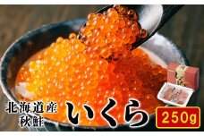 【2024年新物】北海道産いくら 醤油漬け 250g 鮭いくら 秋鮭 