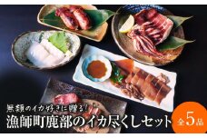 【2025年9月下旬発送】訳あり 漁師町鹿部のイカ尽くしセット 全5品