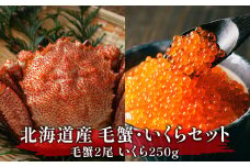 【北海道産】毛蟹いくらセット 毛蟹2尾 いくら250g 海鮮丼 二色丼