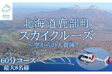 【最大8名】北海道スカイクルーズ 60分コース スカイクルージング 遊覧飛行 体験 観光 鹿部 駒ヶ岳 大沼 函館 室蘭 有珠山 道南