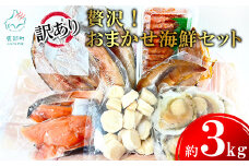 贅沢！豪華「訳あり」おまかせ海鮮セット 約3kg