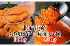 北海道産 ふり塩うに（エゾバフンウニ）100g いくら醤油漬け250g うにいくら丼 冷凍保存 事業者支援