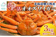 【訳あり】北海道産 活オオズワイガニ 3kg 約10～18尾 かに 蟹 ずわい蟹