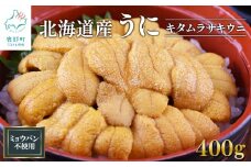 北海道産 うに400g （100g×4） キタムラサキウニ ミョウバン不使用 ふり塩うに 冷凍保存