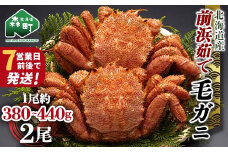 【7営業日前後で発送】北海道 毛ガニ 容量が選べる 前浜茹で毛がに 約380g~440g 2尾 かに カニ 蟹 ガニ がに 森町 毛蟹 毛かに 毛がに 毛カニ 毛ガニ mr1-0722-1