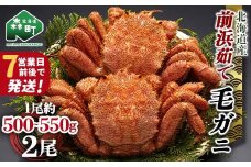 【7営業日前後で発送】北海道 毛ガニ 容量が選べる 前浜茹で毛がに 約500g~550g 2尾 かに カニ 蟹 ガニ がに 森町 毛蟹 毛かに 毛がに 毛カニ 毛ガニ mr1-0687-1