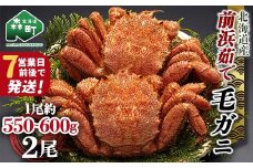 【7営業日前後で発送】北海道 毛ガニ 容量が選べる 前浜茹で毛がに 約550g~600g 2尾 かに カニ 蟹 ガニ がに 森町 毛蟹 毛かに 毛がに 毛カニ 毛ガニ mr1-0720-1