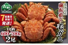 【7営業日前後で発送】北海道 毛ガニ 容量が選べる 前浜茹で毛がに 約600g~700g 2尾 かに カニ 蟹 ガニ がに 森町 毛蟹 毛かに 毛がに 毛カニ 毛ガニ mr1-0721-1