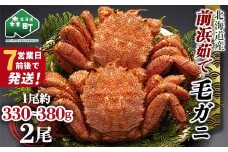 【7営業日前後で発送】北海道 毛ガニ 容量が選べる 前浜茹で毛がに 約330g~380g 2尾 かに カニ 蟹 ガニ がに 森町 毛蟹 毛かに 毛がに 毛カニ 毛ガニ mr1-0666-1