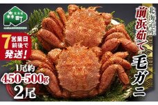 【7営業日前後で発送】北海道 毛ガニ 容量が選べる 前浜茹で毛がに 約450g~500g 2尾 かに カニ 蟹 ガニ がに 森町 毛蟹 毛かに 毛がに 毛カニ 毛ガニ mr1-0653-1