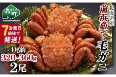 【7営業日前後で発送】北海道 毛ガニ 容量が選べる 前浜茹で毛がに 約320g～360g 2尾 かに カニ 蟹 ガニ がに 森町 毛蟹 毛かに 毛がに 毛カニ 毛ガニ mr1-1028