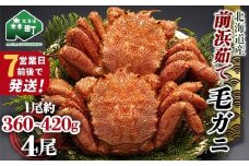 【7営業日前後で発送】北海道 毛ガニ 容量が選べる 前浜茹で毛がに 約360g～420g 4尾 かに カニ 蟹 ガニ がに 森町 毛蟹 毛かに 毛がに 毛カニ 毛ガニ mr1-1035