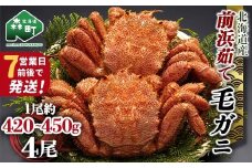 【7営業日前後で発送】北海道 毛ガニ 容量が選べる 前浜茹で毛がに 約420g～450g 4尾 かに カニ 蟹 ガニ がに 森町 毛蟹 毛かに 毛がに 毛カニ 毛ガニ mr1-1040