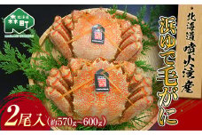 北海道噴火湾産「カネキチ」浜ゆで毛がに2尾入（約570～600ｇ）＜カネキチ澤田水産＞ かに カニ 蟹 ガニ がに 森町 ふるさと納税 北海道 毛蟹 毛かに 毛ガニ 毛カニ mr1-0012