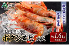 【先行予約】北海道噴火湾産ボタンエビメス400g×4＜海鮮問屋　株式会社　瑞宝＞ えび エビ 海老 ぼたんえび ぼたん海老 ボタン海老 ボタンエビ ぼたんエビ ボタンえび 牡丹海老 北海道 森町 ふるさと納税 北海道  mr1-0531