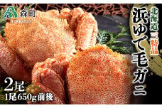 650g前後×2尾 浜ゆで毛蟹 【北海道三特品】〈ワイエスフーズ〉 かに カニ 蟹 ガニ がに 森町 ふるさと納税 北海道 毛蟹 毛かに 毛ガニ 毛カニ mr1-0426