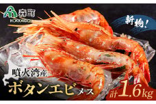 【先行予約】『新物』北海道噴火湾産冷凍ボタンエビメス（約400g×4） ＜海鮮問屋　株式会社　瑞宝＞ えび エビ 海老 ぼたんえび ぼたん海老 ボタン海老 ボタンエビ ぼたんエビ 牡丹海老 北海道 森町 ふるさと納税 北海道  mr1-0529